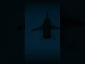 Silent Vice - Echo Stasis (From More Tomcat Tales)