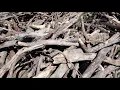 Commercial Wood Waste Removal Wood Recycling In Omaha NE Price Moving Hauling Omaha
