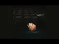 sega bodega - Coma Salv (Audio)