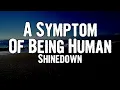 Shinedown - A Symptom Of Being Human (Lyrics)