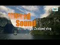 Milford Sound New Zealand Vlog Te Anau Redcliff Cafe
