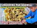 CUNGKRING PAK ADANG || DARI URAT KIKIL KAKI SAPI JAJANAN Khas BOGOR !! JUALAN CUMA 2 JAM UDAH HABIS