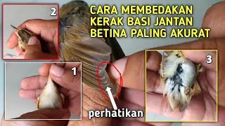 Download Mulai Sekarang jangan Asal2an Beli Kerak Basi Ombyokan! Tak kasih tau ilmunya MP3