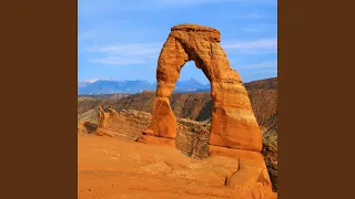 يا تاركا دنيا الهوى حمزة أبو قينص 