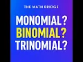 Monomials Binomials Trinomials Explained Algebra Basics