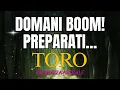 Download Lagu Toro, non mollare: oggi 19 ottobre arriva una svolta scioccante