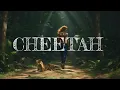 Download Lagu Jackson Wang - Cheetah ( Lyrics )
