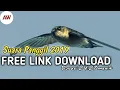 Download Lagu SUARA PANGGIL WALET GRATIS 2019