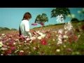 Download Lagu Jay Chou - Sea Of Flowers