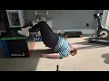 HIGH HIP BUCKS