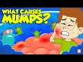 Download Lagu What Causes Mumps? | Mumps - Causes, Signs and Symptoms | Viral Contagious Diseases | Dr Binocs Show