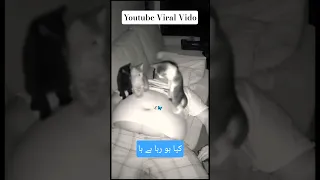 Youtube Viral Shorts Video Tiktokviral Pashtopoetry Shortsviral Newviralshorts 2025song  Youtube Viral Shorts Video Tiktokviral Pashtopoetry Shortsviral Newviralshorts 2025song