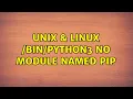 Unix Linux No module named pip 3 Solutions