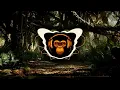 Who Put Back Ragga Jungle in my Drum and Bass - Reggae Drum & Bass Mix