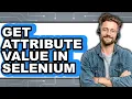How to Get Attribute Value in Selenium only Way