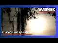 Neighbors concerned that data center could erase Arcadia s small-town charm