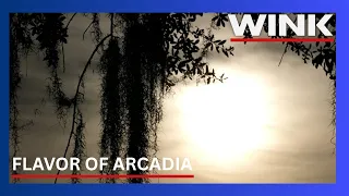 Neighbors concerned that data center could erase Arcadia s small-town charm