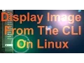 Display An Image From The CLI On Linux With Bash