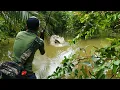 Download Lagu MELEDAK! Niat mancing ikan gabus umpan di sambar toman pak | Casting gabus toman