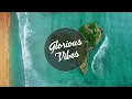 Brittany Howard - Stay High feat.  Fred again & Anonymous