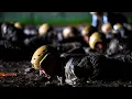 Download Lagu Air Force Special Warfare Training Wing: An Inside Look