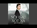 Download Lagu Nỗi Đau Xót Xa (Remix)