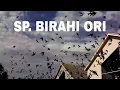 Download Lagu SP. BIRAHI