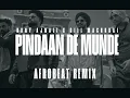 Lagu Pindaan De Munde | Official Afrobeat Remix | Rony Ajnali X Gill Machhrai | Best Punjabi Remixes
