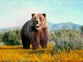 El Oso - (Clásico de Moris, por Antonio Birabent)