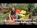 Rossana s Brooklyn NY Urban Rooftop Garden - Gardener s Supply Co