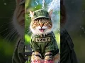 Download Lagu Gatel gatel #cat #cartoon  #animasulucu #funny #animation #jokes #comedy #cocomelon