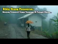 Dingin 🥶 Suasana Hujan Berkabut Di Warung Tertinggi Di Tengah Hutan 