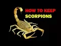 Download Lagu How to keep Scorpions (Weird and Wonderful Pets Episode 7 of 15)