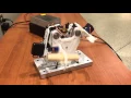 Purdue ECE 362 - THEOR
