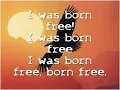 Kid Rock Born Free lyrics video