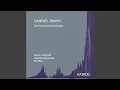 Lagu Three Soundscapes (2018) for sheng and string Quartet: II. Inquieto