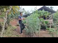 Download Lagu Menu Hari Ini, Sambel Telor Rebus Daun Singkong, Kehidupan Nyata Pemuda Kebun
