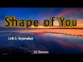 Download Lagu Shape of You Lyrics - Ed Sheeran ( Lirik Lagu dan Terjemahan )
