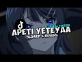 Download Lagu DJ APETI YETEYAA (Slowed \u0026 Reverb)