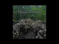 Officer of Love | Caamp (guitar)