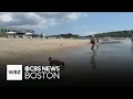 Cape Cod resort provides a fun time for the whole family including pets