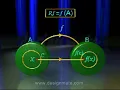 4-2 Function - Part 2 Types of Functions Explained with Examples