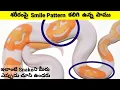 Emoji Ball Python Snake World s First Snake with smile pattern on its Body MickyZone