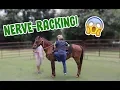 Riding the Horse I Rescued From a Kill Pen for the First Time