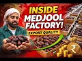 Inside Medjool Dates Factory - Farm to Export Process