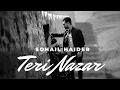Lagu Teri Nazar | Sohail Haider | New Song | Pakistani Music 2020