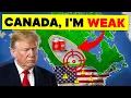 Canada s Boycott Just Cost U S BILLIONS Trump Is Panicking