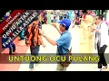Download Lagu UNTUONG OCU PULANG - DAVID ASTAR FEAT. ELLA ASTARI (LIVE)