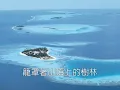珍重再見