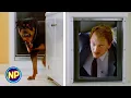 Greeted by the Dog Ferris Bueller s Day Off